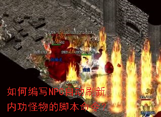 ��α�дNPC�Զ�ˢ���ڹ�����Ľű����