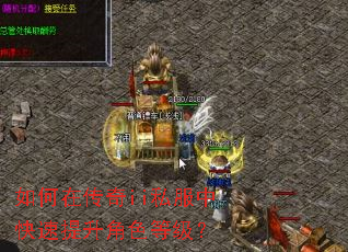����ڴ���ii˽���п���������ɫ�ȼ���