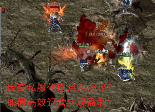 ����˽������������أ���θ�Ч��Ӫʵ��ӯ����