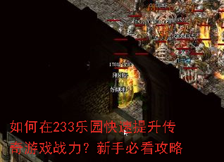 �����233��԰��������������Ϸս�������ֱؿ�����