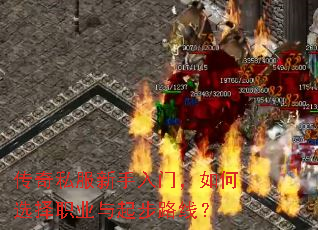 ����˽���������ţ����ѡ��ְҵ����·�ߣ�