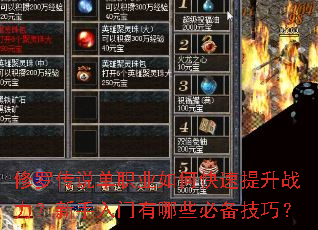 修罗传说单职业如何快速提升战力?新手入门有哪些必备技巧? 修罗传说单职业如何快速提升战力?新手入门有哪些必备技巧?