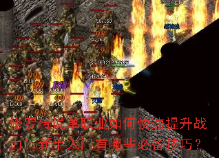 ���޴�˵��ְҵ��ο�������ս����������������Щ�ر����ɣ�