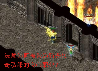 ��ʦΪ�α���Ϊ�¿�����˽��������ְҵ��