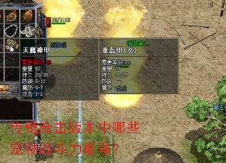 传奇合击版本中哪些宠物战斗力最强? 传奇合击版本中哪些宠物战斗力最强?