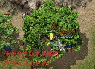 传奇合击版本中哪些宠物战斗力最强? 传奇合击版本中哪些宠物战斗力最强?