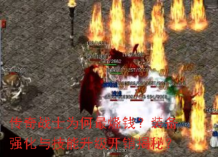 ����սʿΪ������Ǯ��װ��ǿ���뼼�������������أ�