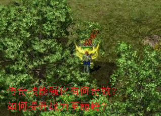 ���漼��ǿ���к���Ч���������ս�����۷壿